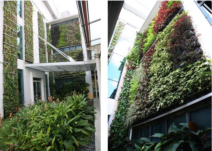 立體綠化案例