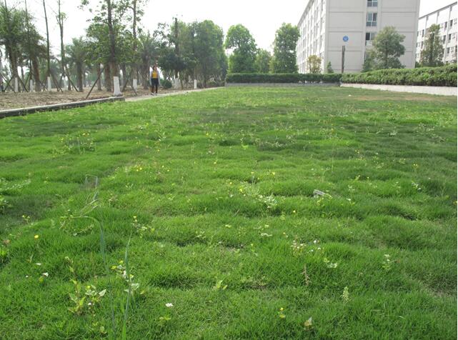 四川錦江大學(xué)